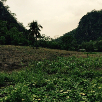 Finca en San Vicente Pacaya.Guachipilin