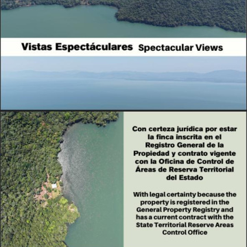 5.87 Caballerías en Rio Banco en riberas del Lago de Izabal