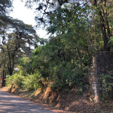 TERRENO EN EL ENCINAL. MIXCO